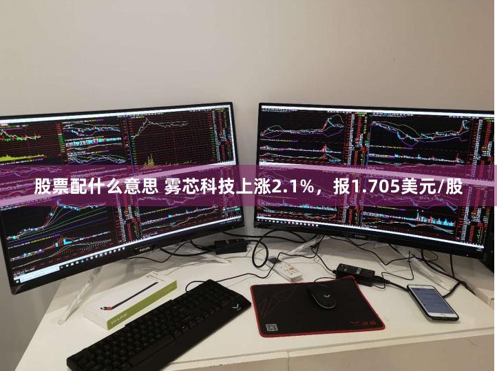 股票配什么意思 雾芯科技上涨2.1%，报1.705美元/股