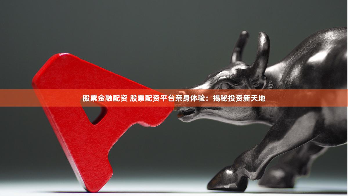 股票金融配资 股票配资平台亲身体验：揭秘投资新天地